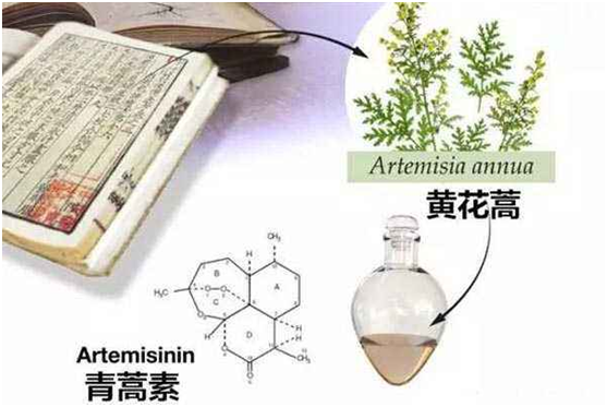 平博在线-平博（中国）,：向中医药看齐，与世界共享中医药文化(图1)